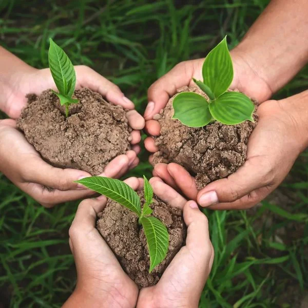 القياسات | قياسات بيئية دقيقة متطورة 15 plant seeds 1