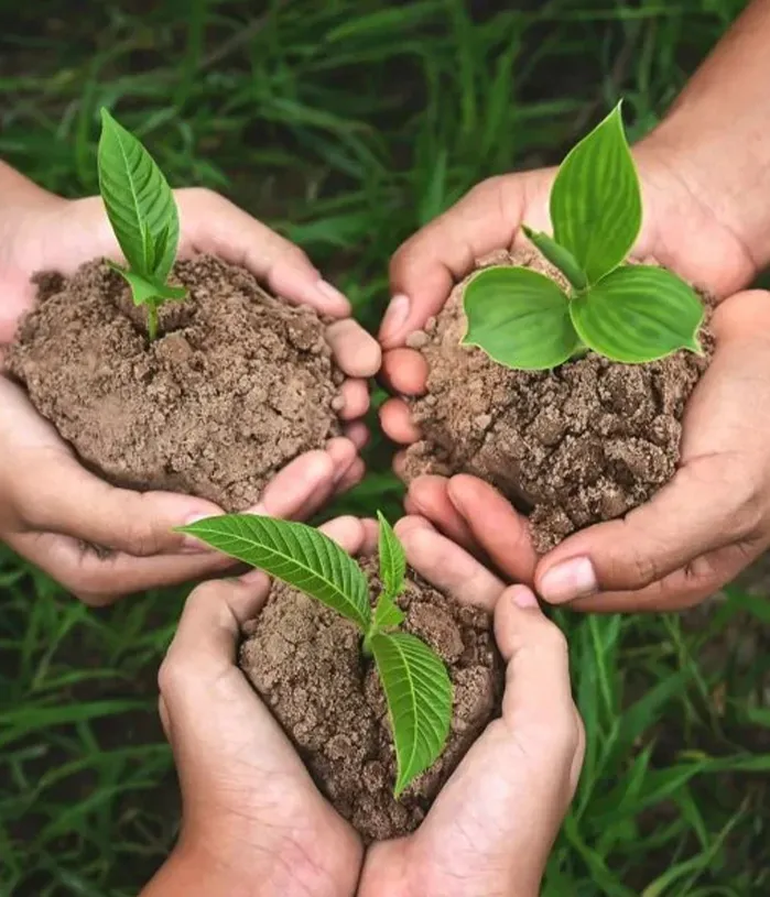 soil analysis 51 تربة 8