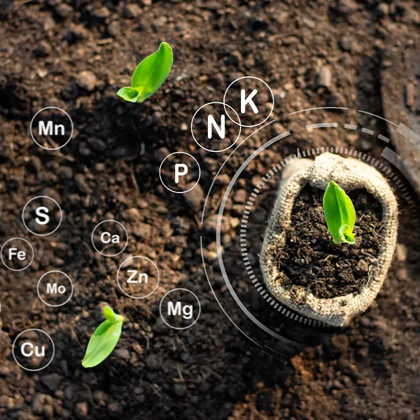 soil analysis 45 تربة5